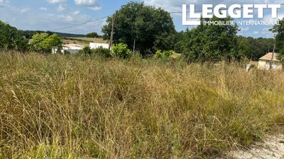 /international/fr/montpeyroux-midi-pyrenees-310101443887/?lang=pt
