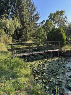 /international/fr/chalais-charente-310101382864/?lang=es