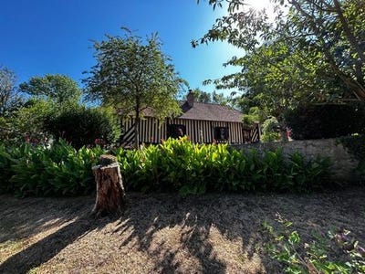 /international/fr/saint-georges-en-auge-la-basse-normandie-310109821937/