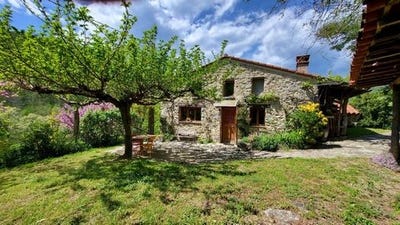 /international/fr/saint-laurent-de-cerdans-languedoc-roussillon-310106138514/