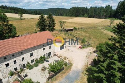 /international/fr/monlet-auvergne-120096839655/