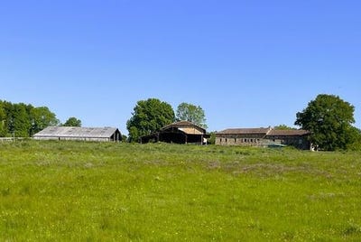 /international/fr/vayres-limousin-310099625782/