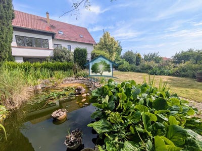 /international/fr/ettendorf-alsace-310100283132/