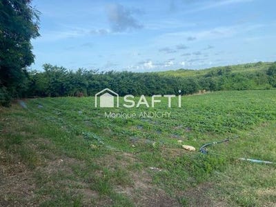 /international/fr/le-vauclin-rhone-310102262371/