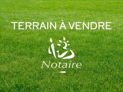 /international/fr/sainte-marie-de-re-charente-310108370143/