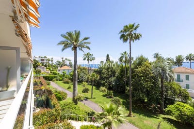 /international/fr/cannes-provence-alpes-cote-d-azur-310108994946/