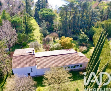 /international/fr/ancone-rhone-310106604504/