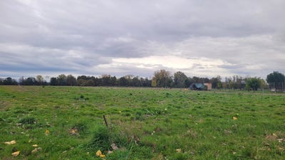 /international/fr/saint-pierre-d-eyraud-aquitaine-310103008643/