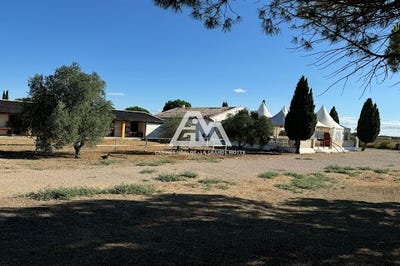 /international/fr/saint-laurent-d-aigouze-languedoc-roussillon-310101322776/
