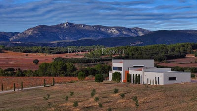 /international/fr/montpeyroux-languedoc-roussillon-310104099861/