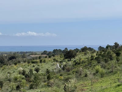 /international/fr/solaro-corsica-310108952642/