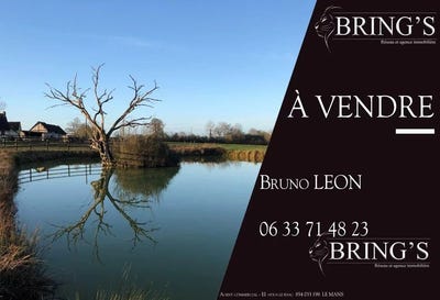 /international/fr/villeneuve-en-perseigne-sarthe-310101417689/