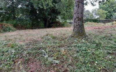 /international/fr/les-monts-d-andaine-la-basse-normandie-310107298623/