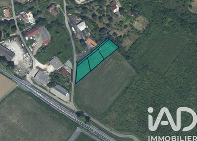 /international/fr/lafox-aquitaine-310106794939/