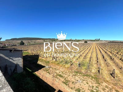 /international/fr/pommard-burgundy-310105421849/