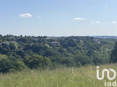 /international/fr/moissac-midi-pyrenees-310102459333/