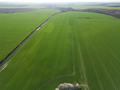 /international/fr/vineuil-centre-val-de-loire-310104531446/