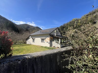 /international/fr/brusque-midi-pyrenees-310104397879/