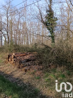 /international/fr/sainte-gemme-centre-val-de-loire-310100990992/