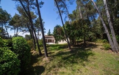 /international/fr/saint-clement-de-riviere-languedoc-roussillon-310101111169/