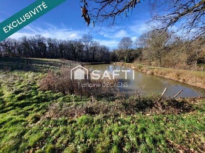 /international/fr/braye-sur-maulne-centre-val-de-loire-310105102841/