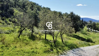 /international/fr/grimaud-provence-alpes-cote-d-azur-310107623168/