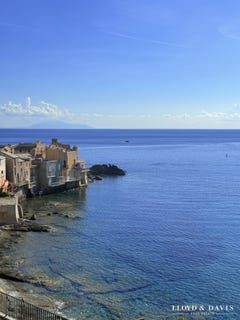 /international/fr/brando-corsica-310106064287/