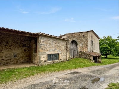 /international/fr/champis-rhone-310108001529/