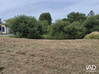 /international/fr/saint-andre-de-seignanx-aquitaine-310108784434/