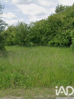 /international/fr/briou-centre-val-de-loire-310105206044/