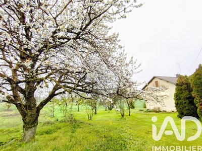 /international/fr/chavanges-ardennes-310102888978/