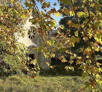 /international/fr/sault-provence-alpes-cote-d-azur-310098476665/