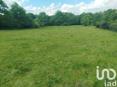 /international/fr/prissac-centre-val-de-loire-310095935901/