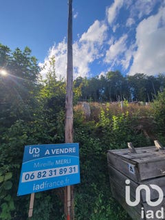 /international/fr/bourbach-le-haut-alsace-310102243114/