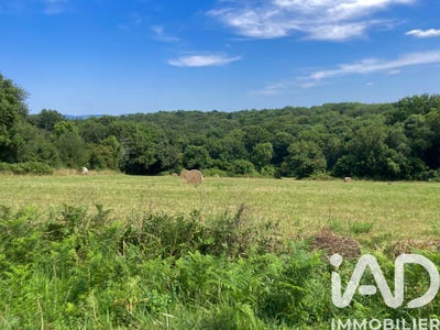 /international/fr/bouilh-pereuilh-midi-pyrenees-310106739401/
