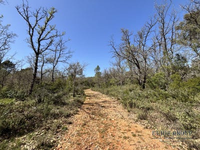 /international/fr/nans-les-pins-provence-alpes-cote-d-azur-310108483769/