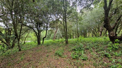 /international/fr/palaja-languedoc-roussillon-310104471609/