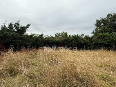 /international/fr/berat-midi-pyrenees-310101385083/?lang=en