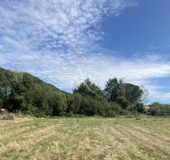 /international/fr/talmont-saint-hilaire-pays-de-la-loire-310107737796/