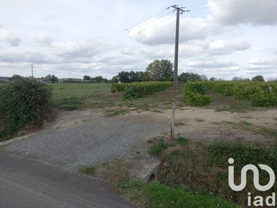 /international/fr/saint-cyr-des-gats-pays-de-la-loire-310100438260/