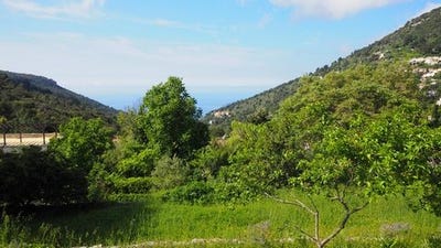 /international/fr/la-turbie-provence-alpes-cote-d-azur-310098772882/