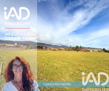 /international/fr/saint-appolinard-rhone-310105540963/