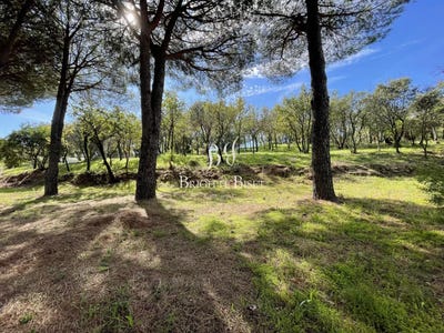 /international/fr/le-plan-de-la-tour-provence-alpes-cote-d-azur-310101155164/