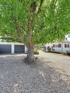 /international/fr/tizac-de-lapouyade-aquitaine-310108869439/