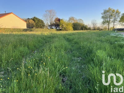 /international/fr/lys-haut-layon-pays-de-la-loire-310099217159/
