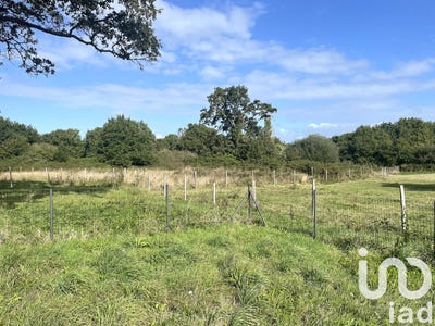 /international/fr/guerande-pays-de-la-loire-310108245652/
