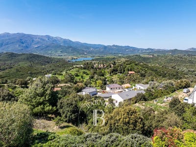 /international/fr/saint-florent-corsica-310102675032/