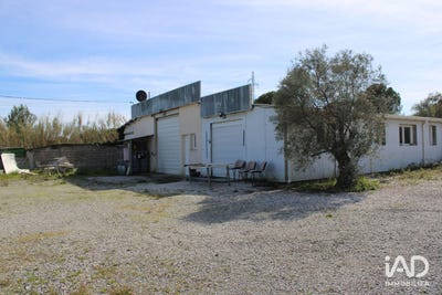 /international/fr/saint-jean-de-vedas-languedoc-roussillon-310106936875/