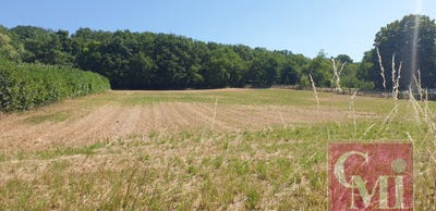 /international/fr/saint-sulpice-de-favieres-ile-de-france-310100792124/