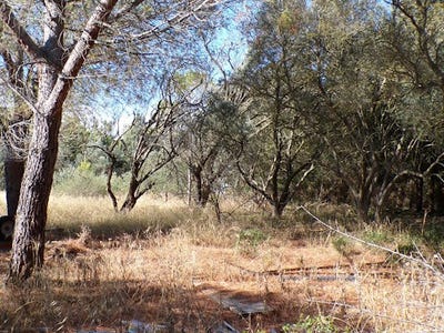 /international/fr/narbonne-languedoc-roussillon-310101281946/?lang=en